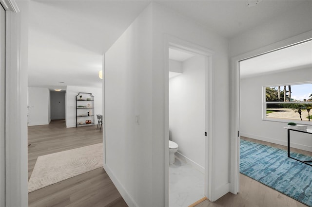 5884 51st St S, Saint Petersburg, FL 33715 - hallway featuring wood finished floors and baseboards