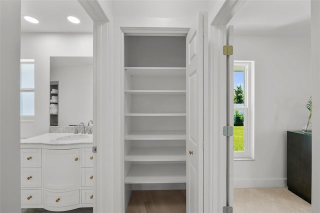 5884 51st St S, Saint Petersburg, FL 33715 - closet featuring a sink