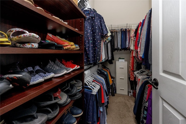 12337 Rose Haven Blvd, New Port Richey, FL 34654 - spacious closet featuring carpet