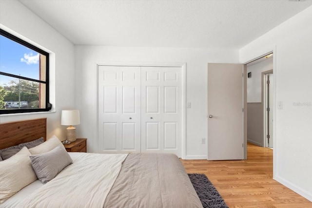 2233 Curlew Rd, Dunedin, FL 34698 - bedroom with light wood finished floors and a closet