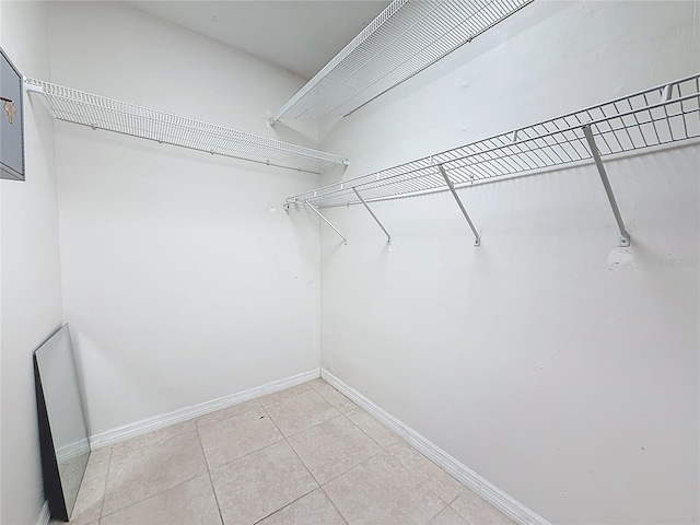 307 Fern Cliff Ave, Temple Terrace, FL 33617 - photo 32