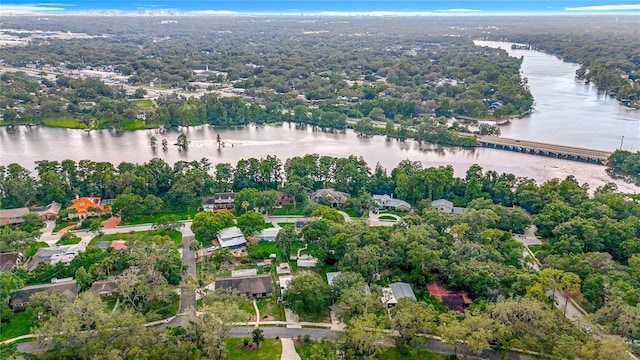 307 Fern Cliff Ave, Temple Terrace, FL 33617 - photo 53