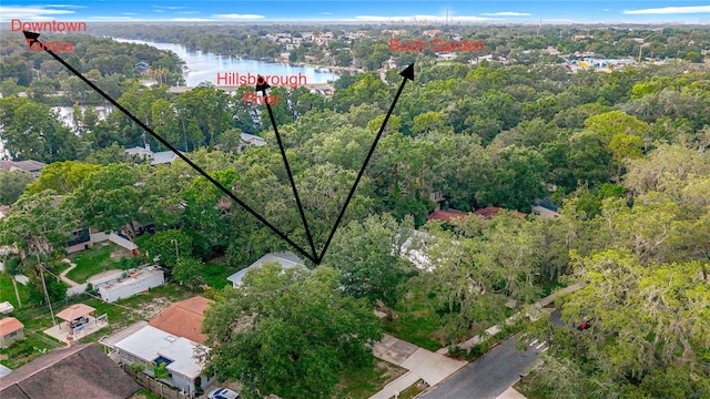 307 Fern Cliff Ave, Temple Terrace, FL 33617 - photo 54