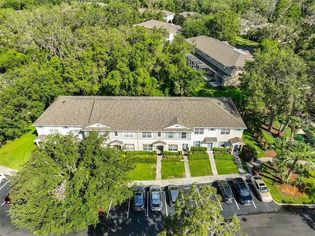 5717 Fishhawk Ridge Dr, Lithia, FL 33547 - view from above of property