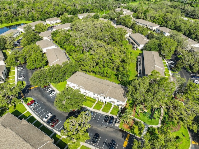 5717 Fishhawk Ridge Dr, Lithia, FL 33547 - aerial perspective of suburban area