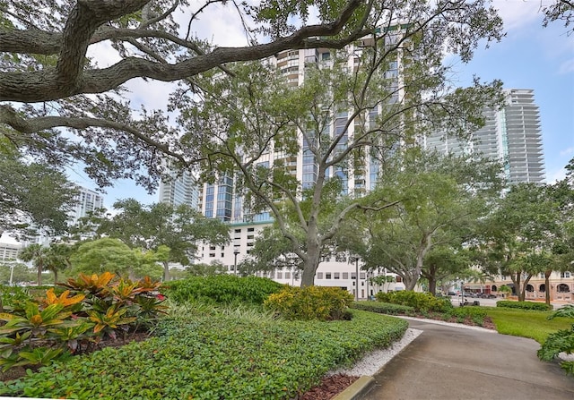 1 Beach Dr SE Unit 811, Saint Petersburg, FL 33701 - surrounding community