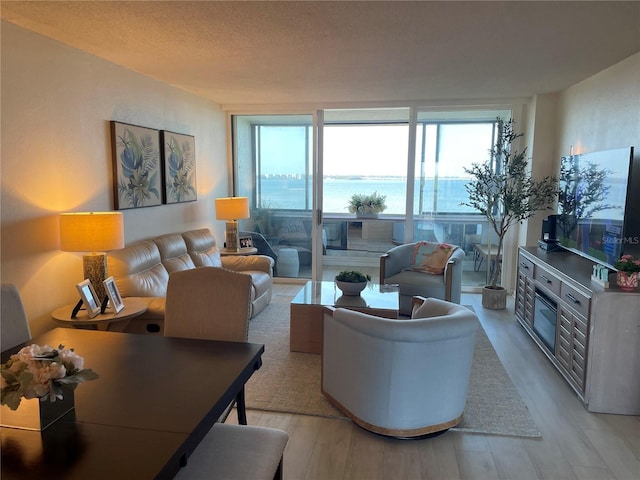 2617 Cove Cay Dr Unit 707, Clearwater, FL 33760 - living area featuring a wall of windows and light wood finished floors