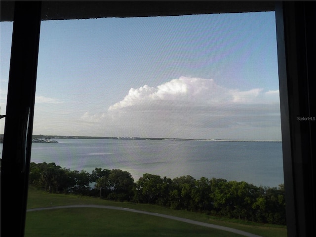 2617 Cove Cay Dr Unit 707, Clearwater, FL 33760 - water view