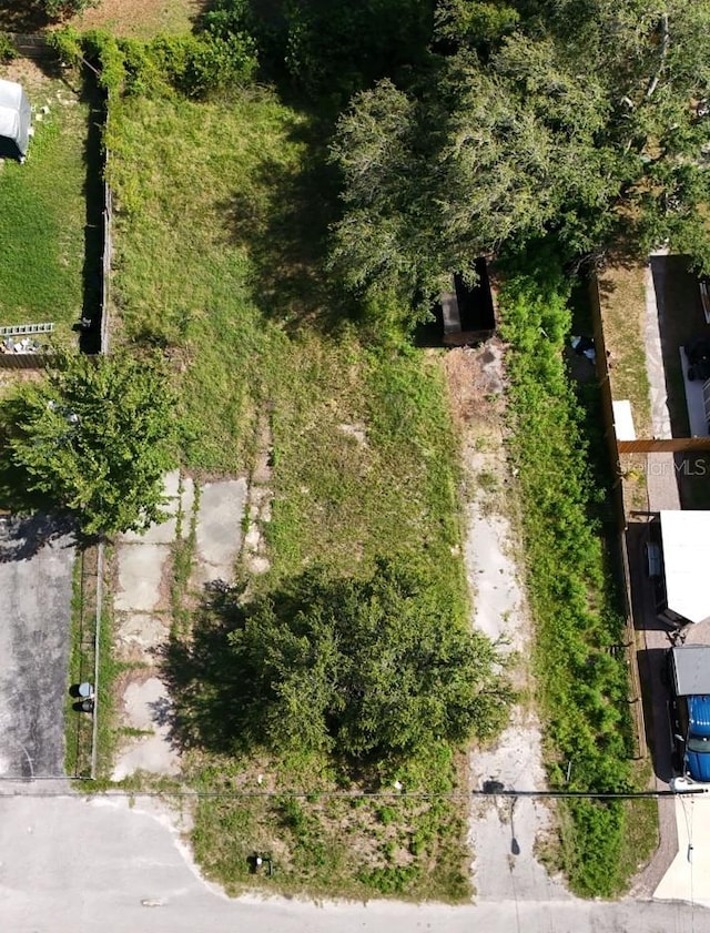 9300 Peony St, New Port Richey, FL 34654 - photo 1