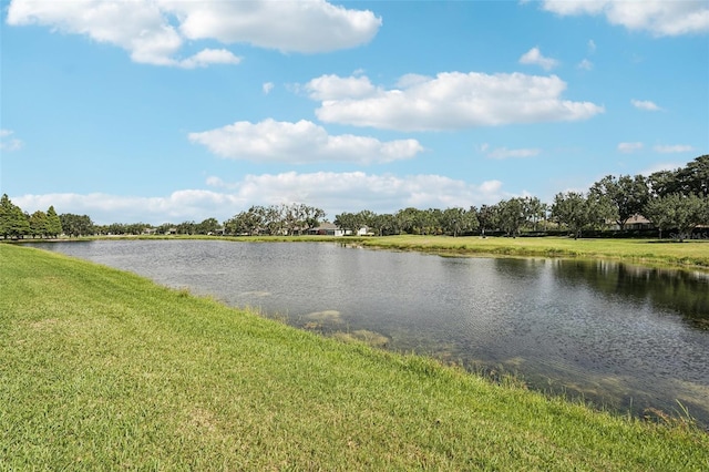 2427 Nottingham Greens Dr, Sun City Center, FL 33573 - photo 31