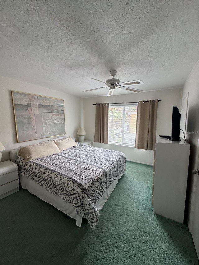 4190 35th Ter S Unit A, Saint Petersburg, FL 33711 - photo 11