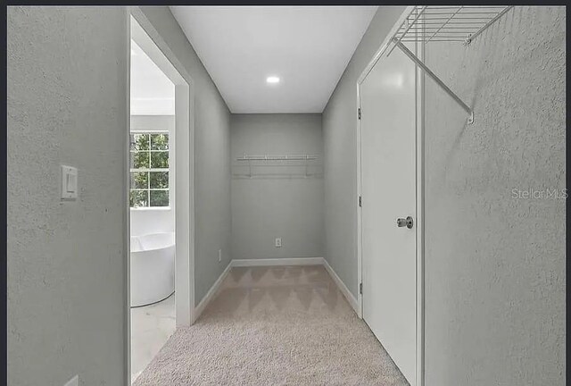 19003 Cedar Ln, Lutz, FL 33548 - spacious closet featuring light carpet