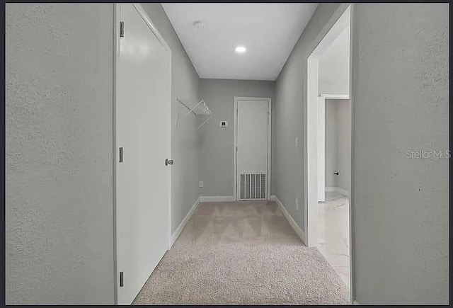 19003 Cedar Ln, Lutz, FL 33548 - hall with light colored carpet and a textured wall