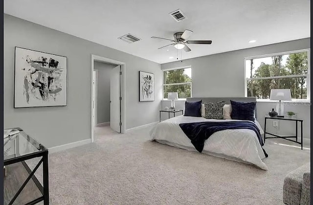 19003 Cedar Ln, Lutz, FL 33548 - bedroom with carpet floors and ceiling fan