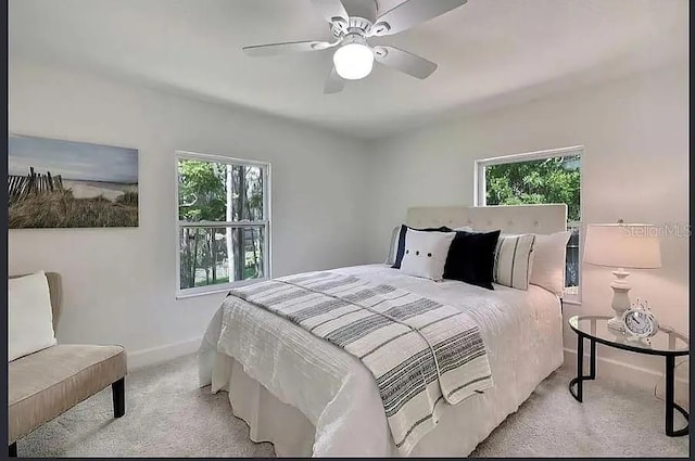 19003 Cedar Ln, Lutz, FL 33548 - bedroom with carpet flooring, multiple windows, and ceiling fan