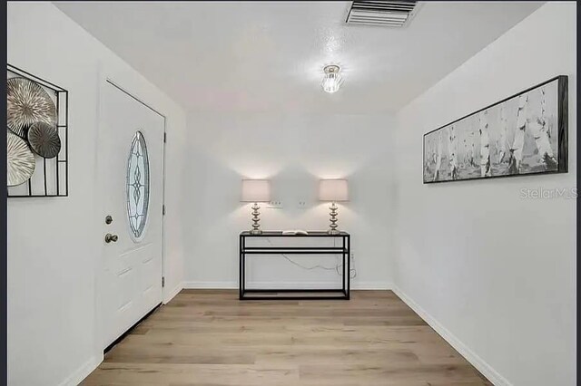 19003 Cedar Ln, Lutz, FL 33548 - foyer with light wood-style flooring and baseboards