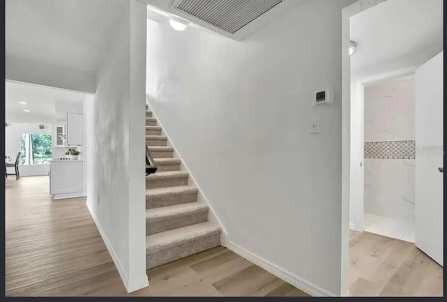 19003 Cedar Ln, Lutz, FL 33548 - stairs featuring wood finished floors and baseboards