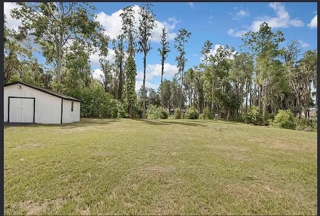 19003 Cedar Ln, Lutz, FL 33548 - view of green lawn featuring an outbuilding and view of scattered trees