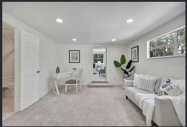 19003 Cedar Ln, Lutz, FL 33548 - office area featuring recessed lighting and carpet floors
