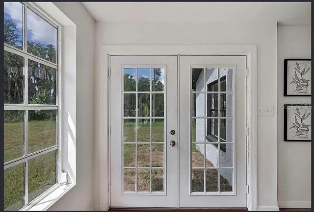 19003 Cedar Ln, Lutz, FL 33548 - doorway to outside featuring french doors