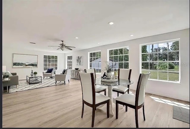 19003 Cedar Ln, Lutz, FL 33548 - dining area with light wood-style floors, recessed lighting, and a ceiling fan