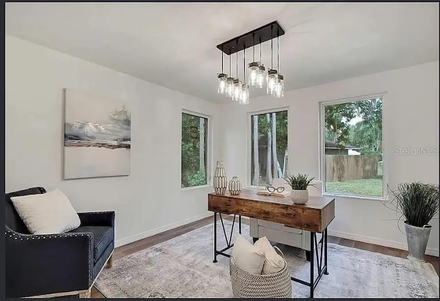 19003 Cedar Ln, Lutz, FL 33548 - office area featuring wood finished floors and baseboards