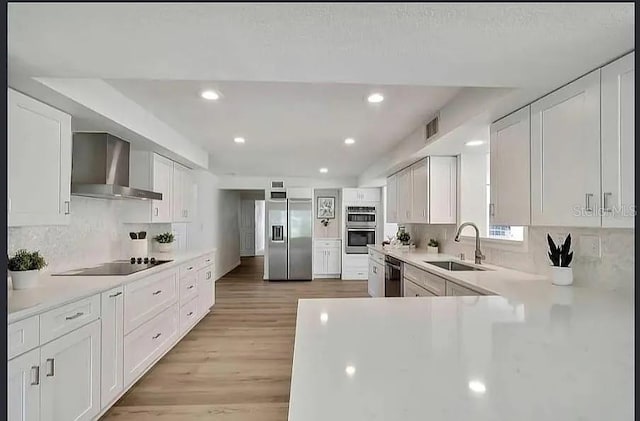 19003 Cedar Ln, Lutz, FL 33548 - kitchen featuring stainless steel appliances, wall chimney range hood, tasteful backsplash, light wood-type flooring, and recessed lighting