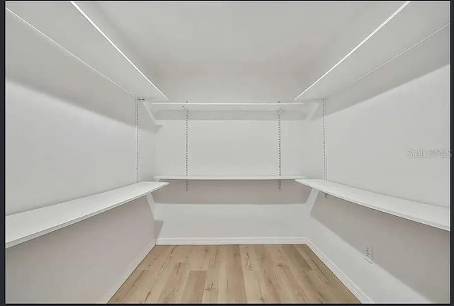 19003 Cedar Ln, Lutz, FL 33548 - walk in closet featuring wood finished floors