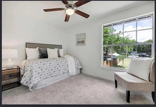 19003 Cedar Ln, Lutz, FL 33548 - bedroom featuring carpet and ceiling fan