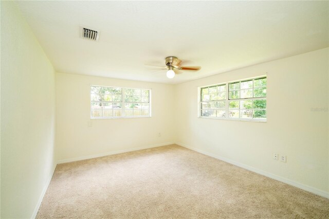 19003 Cedar Ln, Lutz, FL 33548 - photo 20