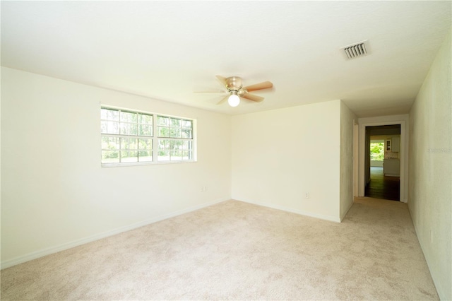 19003 Cedar Ln, Lutz, FL 33548 - photo 21