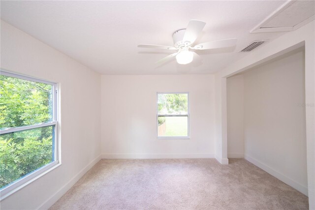 19003 Cedar Ln, Lutz, FL 33548 - photo 24