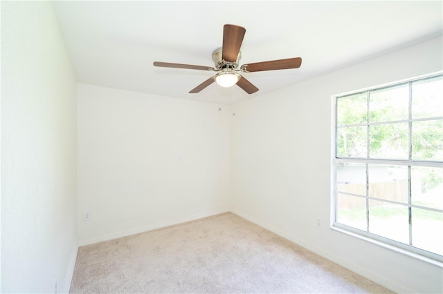 19003 Cedar Ln, Lutz, FL 33548 - photo 28