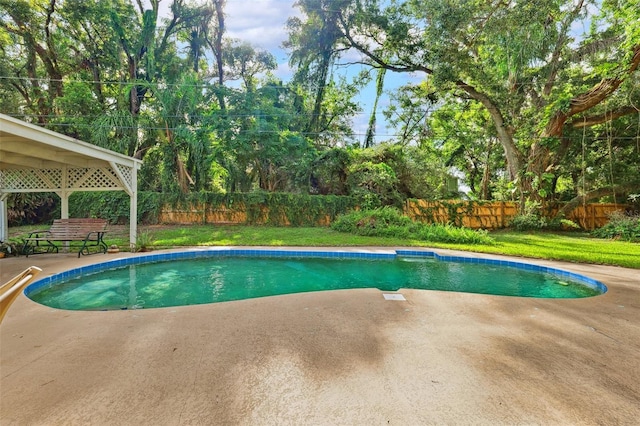 14803 Tulip Dr, Tampa, FL 33613 - view of swimming pool featuring a fenced backyard and a patio
