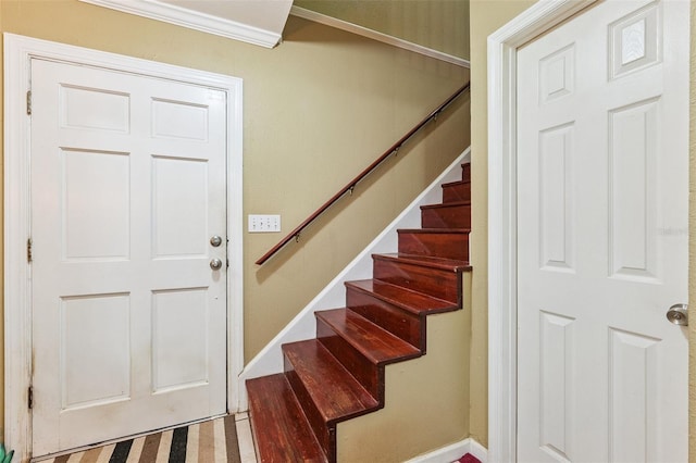 14803 Tulip Dr, Tampa, FL 33613 - stairs with crown molding