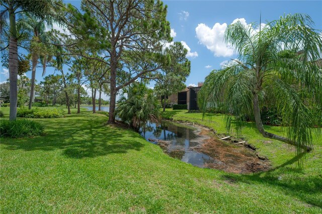 13851 Lake Point Dr, Clearwater, FL 33762 - photo 29