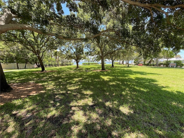 2807 Miriam St S, Gulfport, FL 33711 - view of yard