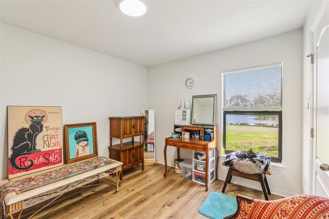 636 Chatham Walk Dr, Ruskin, FL 33570 - photo 20