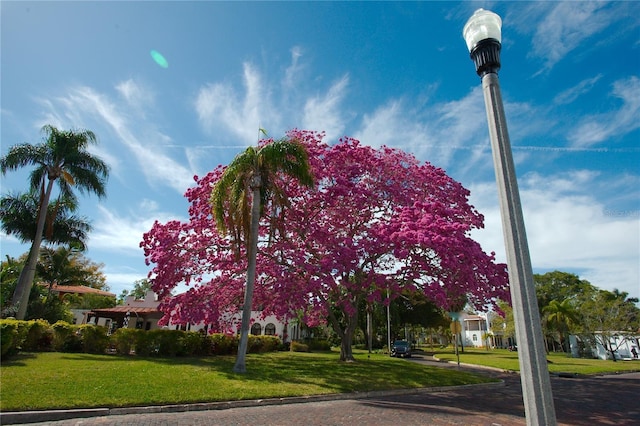3944 49th Ave S, Saint Petersburg, FL 33711 - view of home's community featuring a yard