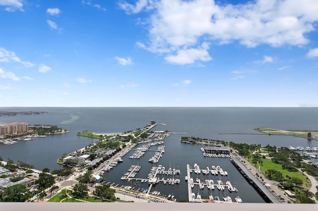 100 1st Ave N Unit 3905, Saint Petersburg, FL 33701 - photo 73
