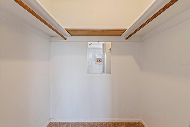 5725 80th St N Unit 301, Saint Petersburg, FL 33709 - photo 28