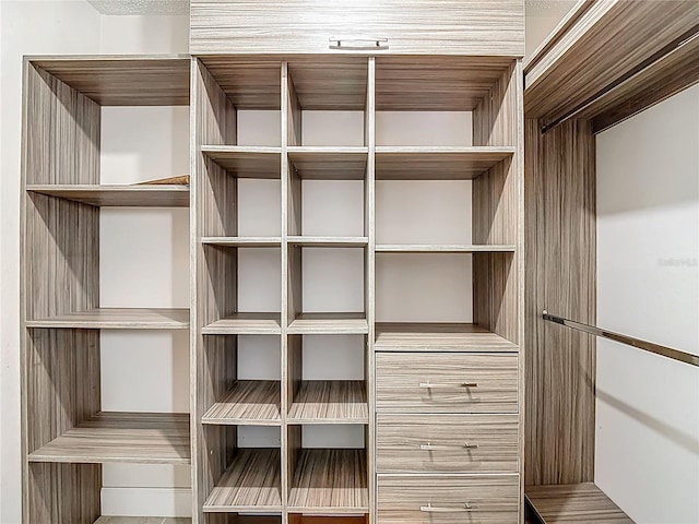 6001 Lemon Tree Ct, Tampa, FL 33625 - view of spacious closet