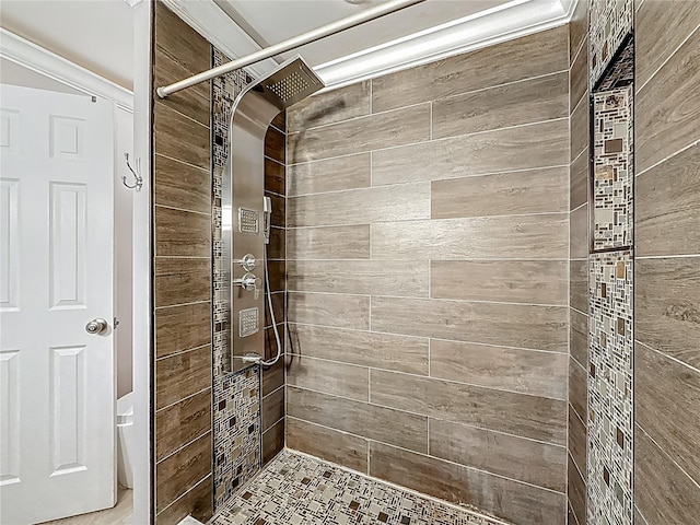 6001 Lemon Tree Ct, Tampa, FL 33625 - bathroom with tiled shower