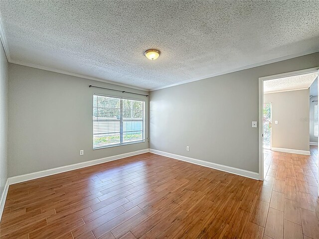 6001 Lemon Tree Ct, Tampa, FL 33625 - photo 23