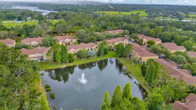 9240 Stone River Pl, Riverview, FL 33578 - photo 42