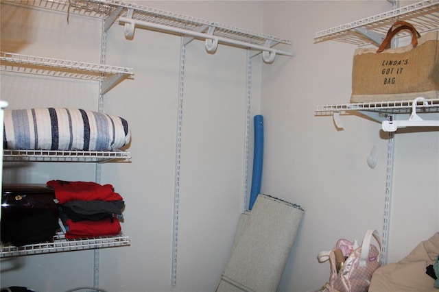 2101 Sunset Point Rd Unit 2304, Clearwater, FL 33765 - view of spacious closet