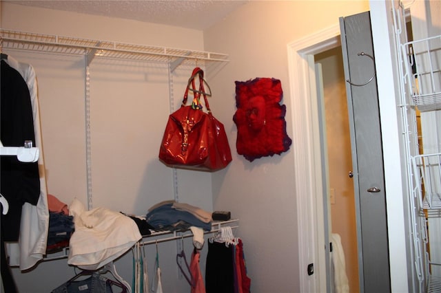 2101 Sunset Point Rd Unit 2304, Clearwater, FL 33765 - view of spacious closet