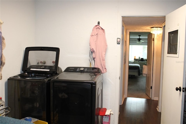 2101 Sunset Point Rd Unit 2304, Clearwater, FL 33765 - laundry area with independent washer and dryer and wood finished floors