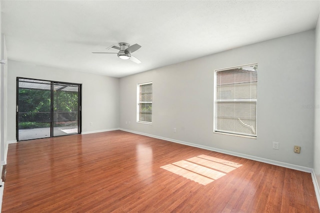 2308 Long Green Ct, Valrico, FL 33596 - empty room with plenty of natural light, a ceiling fan, and wood finished floors