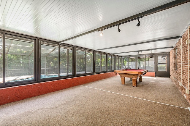 2308 Long Green Ct, Valrico, FL 33596 - recreation room featuring track lighting, brick wall, carpet, and billiards table